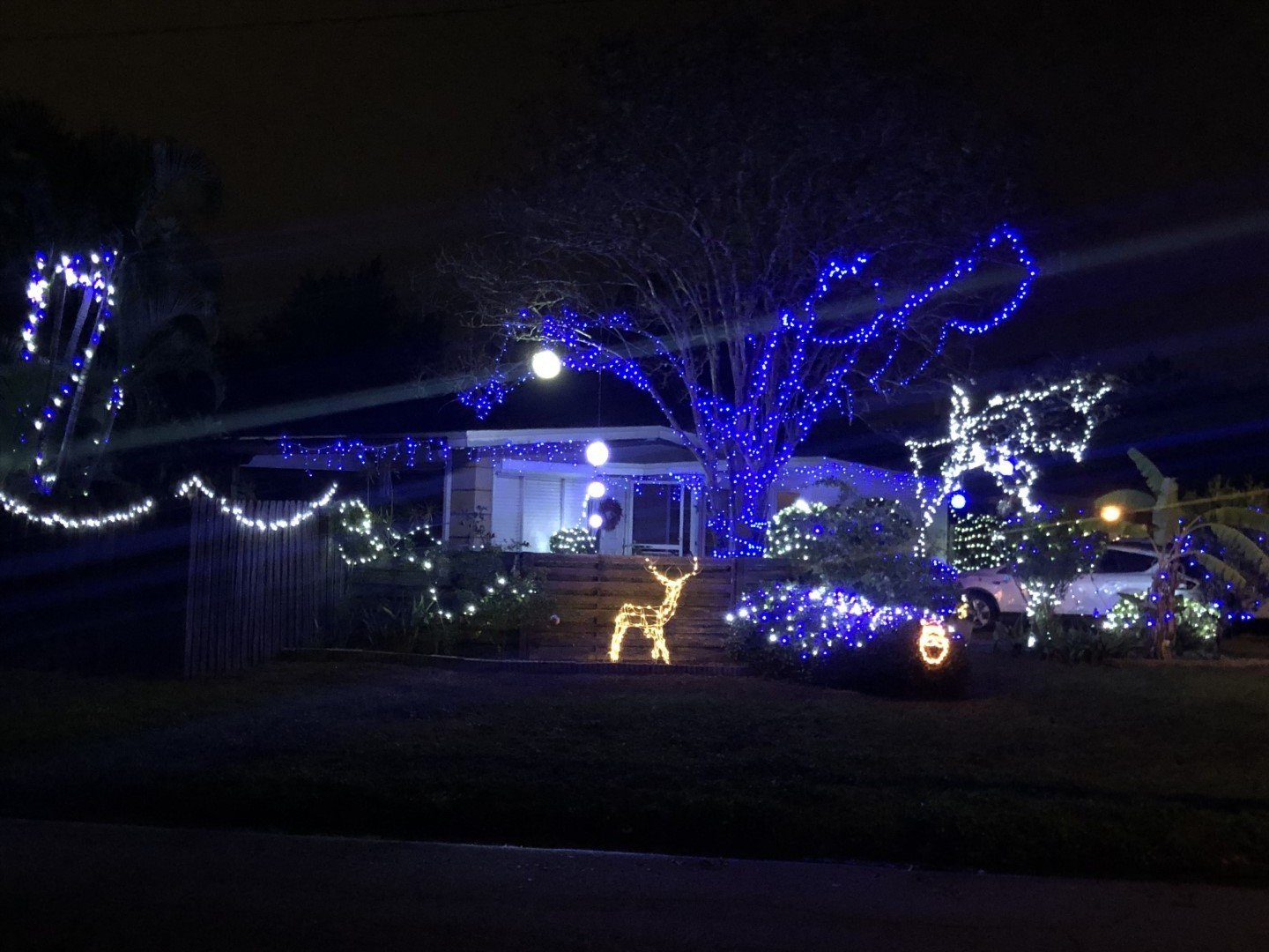 Christmas in Florida